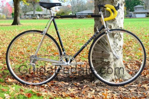 Raleigh Prestige scheda tecnica e recensioni